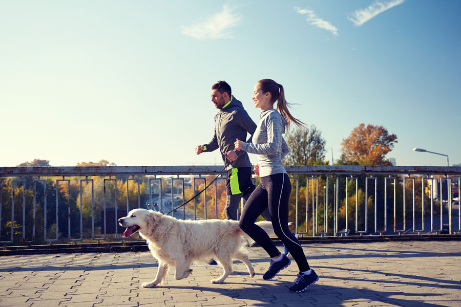 healthy, Health and Benefits - Couple Running Dog